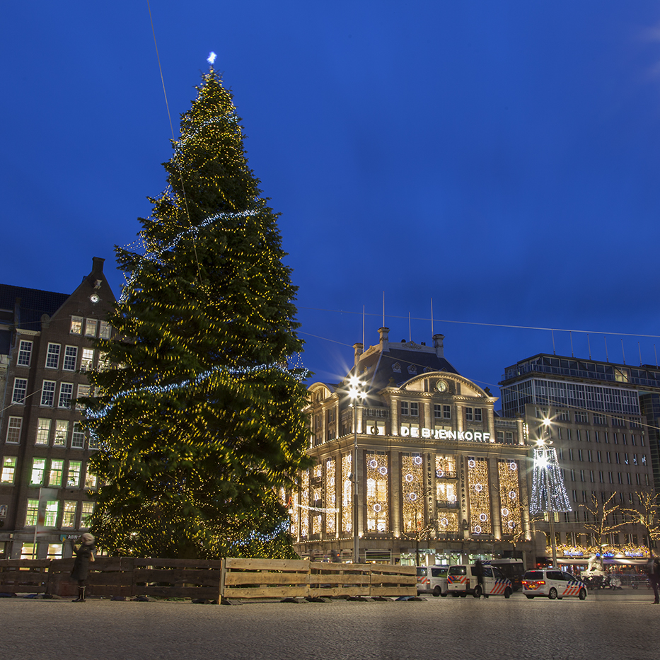 Amsterdam’s Christmas Tree Amsterdam Photo Club