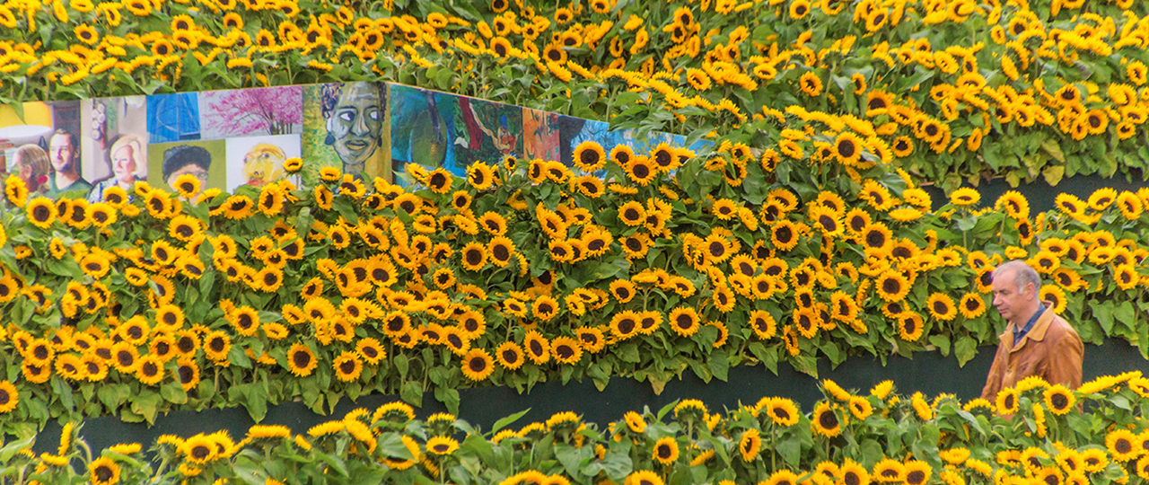 Flower Labyrinth at Van Gogh Museum